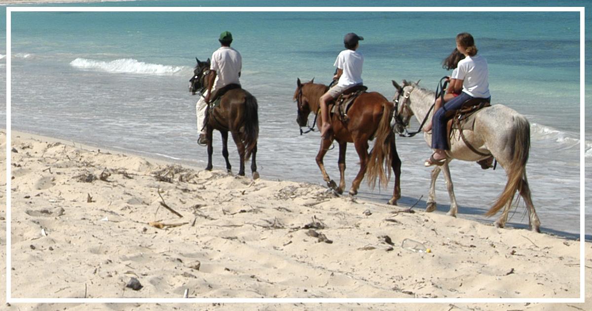 balade à cheval activités Pinarello en Corse du Sud