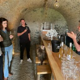 Dégustation de vin au Domaine Marquiliani