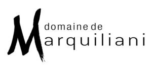 Dégustation de vin au Domaine Marquiliani